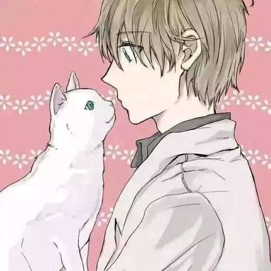 男人和男人做爰动漫,揭秘男性间激情的动漫世界